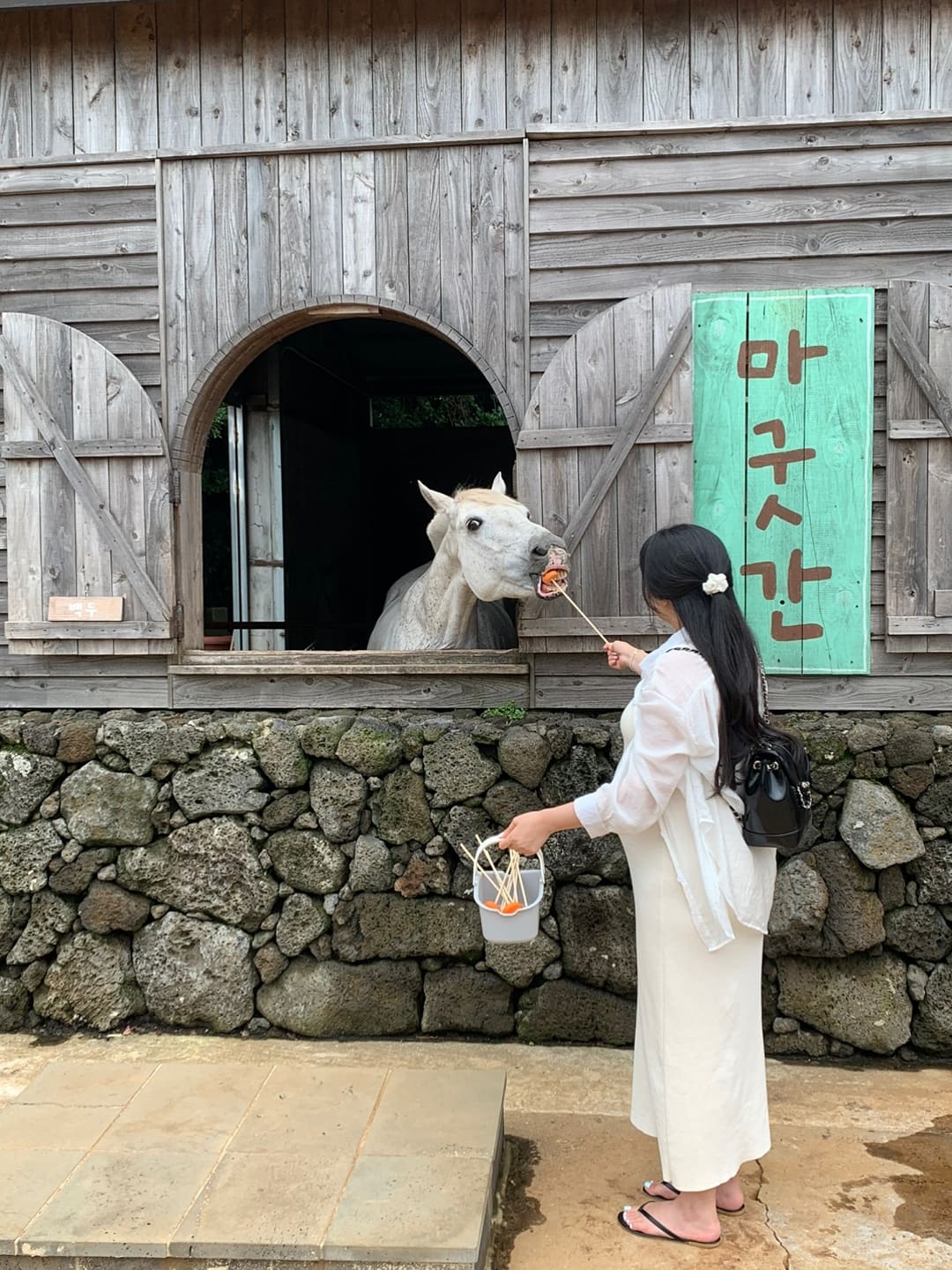 말에게 먹이를 주는 모습