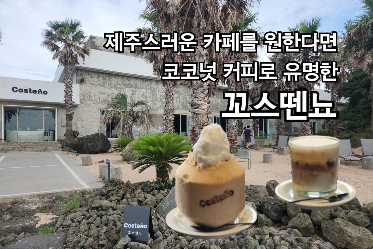 코코넛 커피로 유명한 제주 동쪽 카페 꼬스뗀뇨 𝐜𝐨𝐬𝐭𝐞ñ𝐨