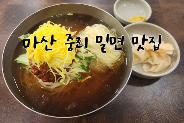 마산 중리 밀면 맛집 부산가야밀면