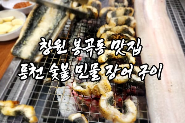 창원 봉곡동 맛집 풍천 숯불 민물 장어