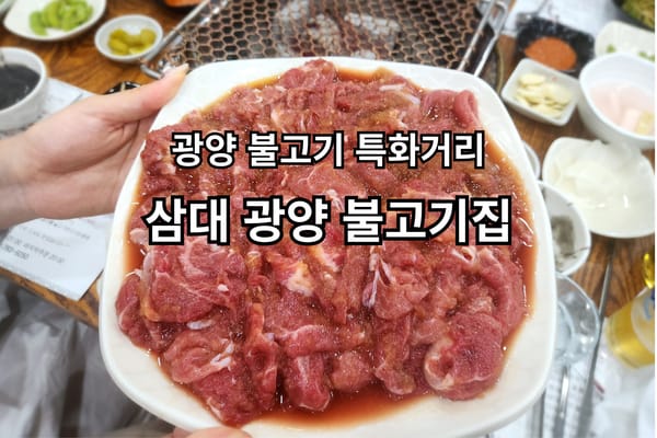 광양 불고기 특화거리 맛집 삼대 광양 불고기집