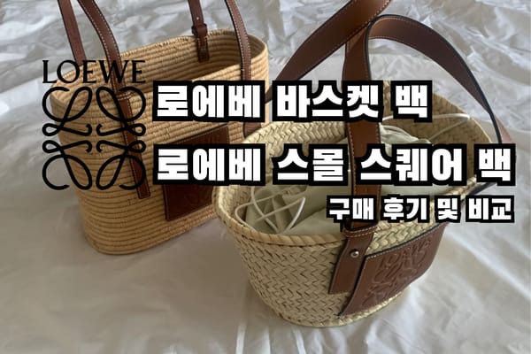 여름 맞이 로에베 라탄백 바스켓 백 구매 후기 및 스퀘어 비교